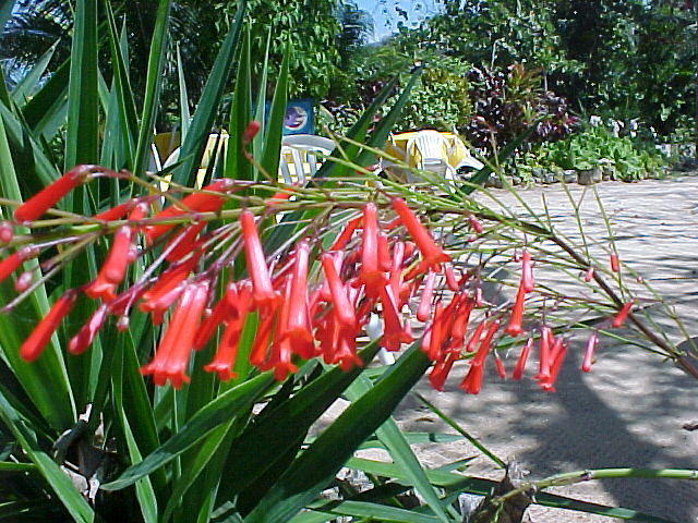 MVC_017F_010.jpg