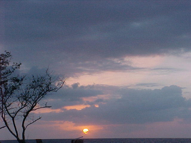 Thur. Feb. 23rd. 2006