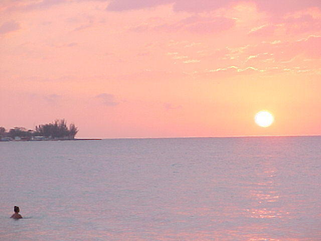 MVC_018F_006.jpg