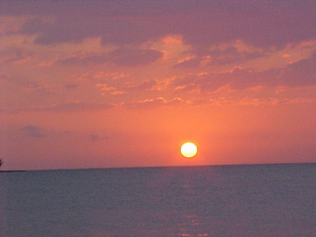 MVC_019F_005.jpg