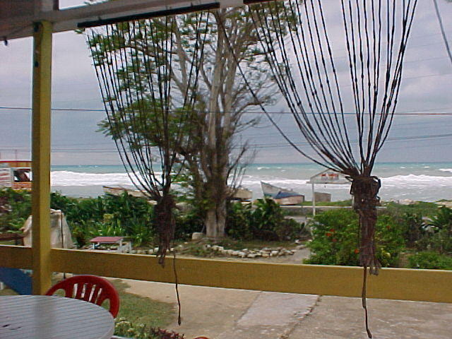 MVC_019F_008.jpg