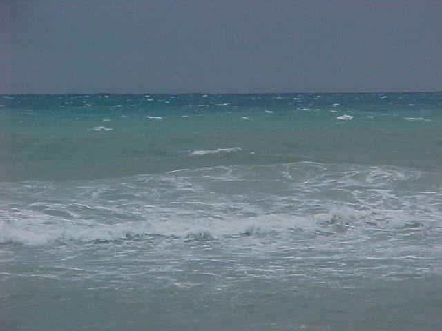 MVC_021F_006.jpg