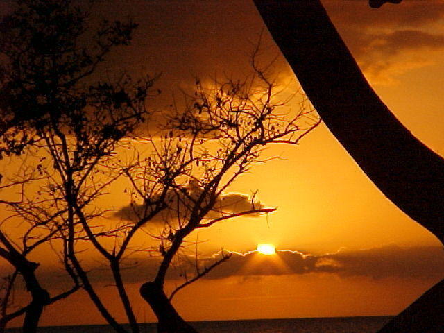 Misty's first Sunset
