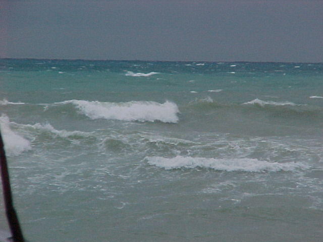 MVC_022F_004.jpg