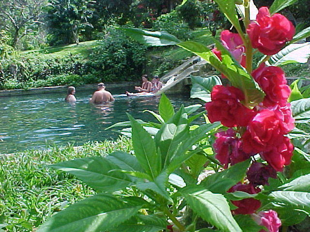Misty in Negril