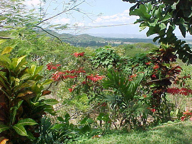 MVC_040F_002.jpg