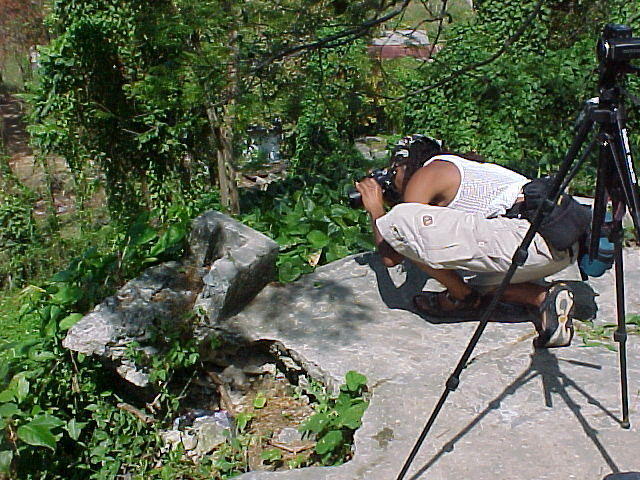 MVC_041F_001.jpg