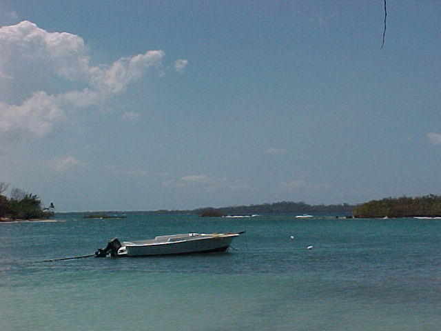 MVC_055F_002.jpg