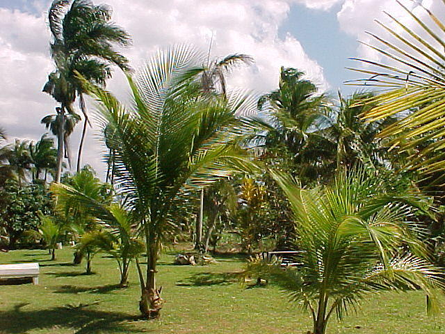 MVC_071F_001.jpg