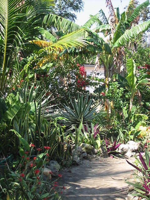 Pathways all around the garden
