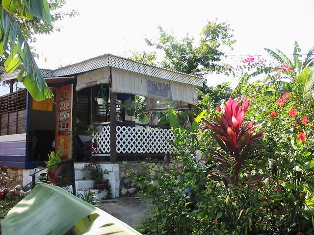 The verandah, my favourite place to eat breakfast & look over the garden early in the morning