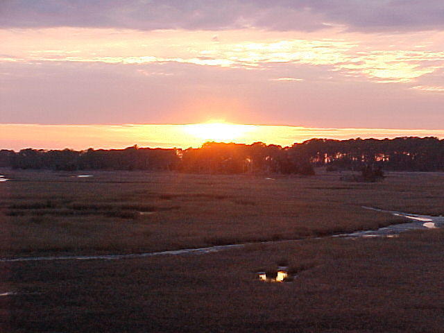 Mar. 8th. 2006 Chincoteague Island Virginia