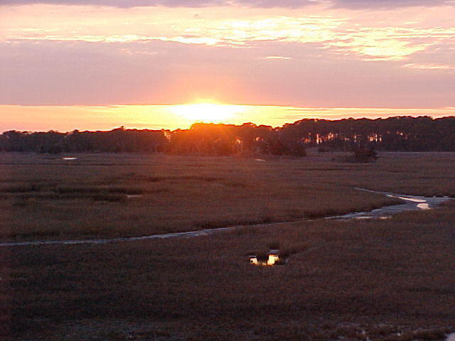 Mar. 8th. 2006 Chincoteague Island Virginia