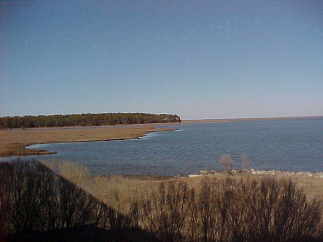 Sunday Mar. 5th, 2006 Chincotegue Island