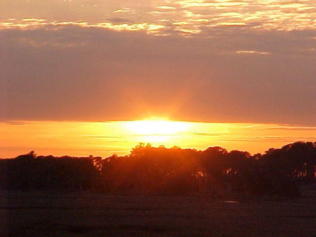 Mar. 8th. 2006 Chincoteague Island Virginia