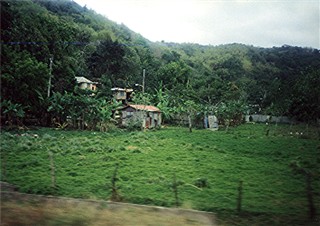 Roadside scenery