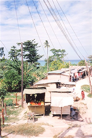 The Craft Market