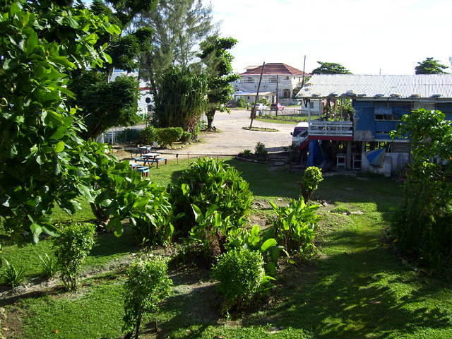 Mi Yard