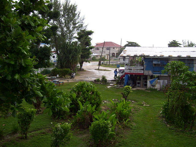 Mi Yard 2007