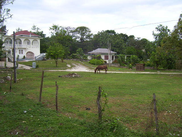 100_2010