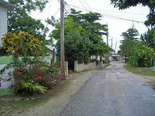 tigress lane 1