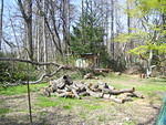 April 2010