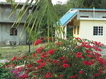DSCF3133