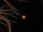 Apr4 moon1