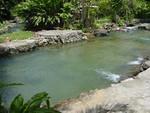 May 14th Benji9 pool