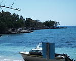 little bay1