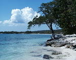 little bay3