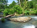 Benji's Property #4