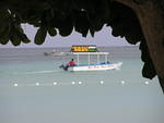 Tour Boat