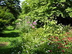 Birdladies Yard