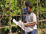 Checking the plans