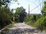 Murder Hill