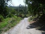 Murder Hill