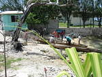 Local people waiting to buy the days catch