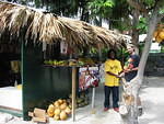 JJ's Ital Fruits & Juices on the beach road by Barry's & Bar b Barn