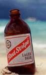 An ice cold stripe always available at EZ .. they say its the coldest in Negril!