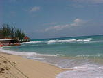 MVC_002F_002.jpg