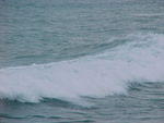 MVC_009F_003.jpg