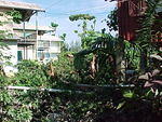 MVC-010F