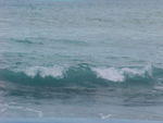 MVC_010F_002.jpg