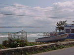 MVC_022F_001.jpg