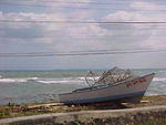 MVC_023F_001.jpg