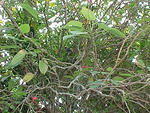 MVC-002F