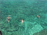 Swimmers
