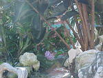 MVC_003F_003.jpg