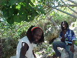 MVC_003F_006.jpg